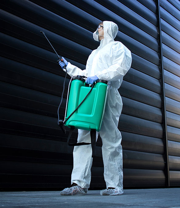 Catalyst Pest Management Services